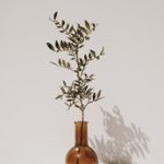 立博赌场平台:探索在线博彩的无限乐趣与机会 fnw3y252