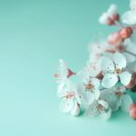 战神娱乐官网:畅享极致游戏体验的最佳平台 qo69rv