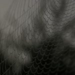 巴黎人赌博网站:如何安全享受在线博彩体验 y30zvpe